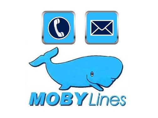 Informations et adresses Moby Lines
